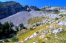 Copia di VAL DI ROSE 1.jpg (94873 byte)