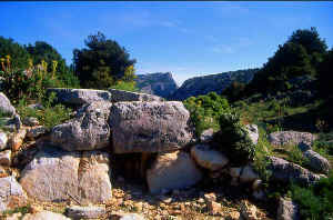 TOMBA CARCARA .jpg (108928 byte)