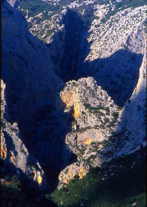 GORROPU ALTO .jpg (49233 byte)