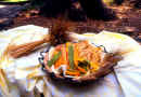 paste_2.jpg (83785 byte)