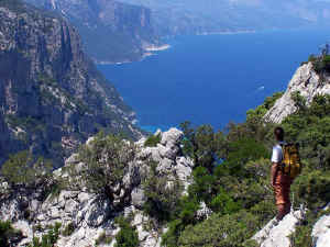 100_0136.JPG (102436 byte)