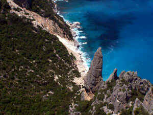 100_0146.JPG (50208 byte)