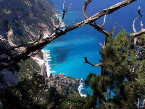 100_0155.JPG (87670 byte)