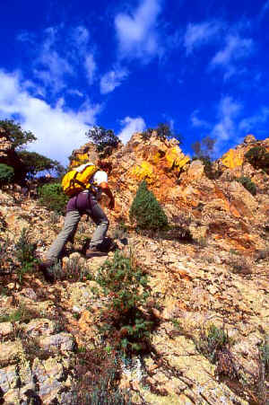 BIDDA MORAS 1.jpg (79336 byte)