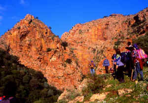 BIDDA MORAS 3 3.jpg (70948 byte)