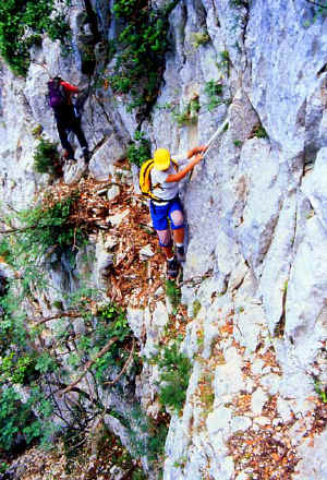 BIR 3.jpg (88566 byte)