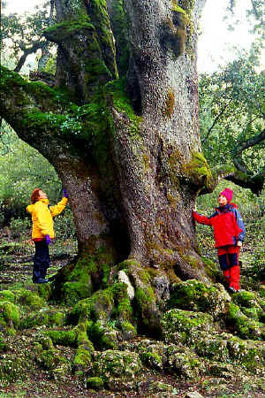 CANALI 1.jpg (133132 byte)