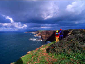 CAPO NIEDDU 3.JPG (59098 byte)