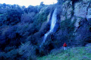 CASCATA  A 4.jpg (65758 byte)
