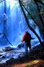 CASC SARC 3.jpg (67606 byte)