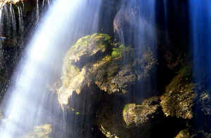 CASC SARC 6.jpg (67643 byte)