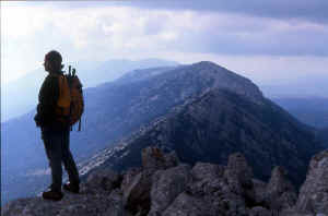 GURTURGIUS EMMA 4.JPG (36516 byte)