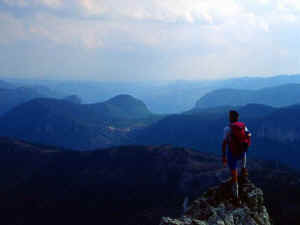 IO_LIANA_95.jpg (25982 byte)